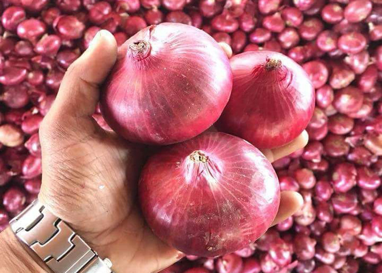 Onion